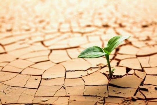 resiliencia y aprendizaje